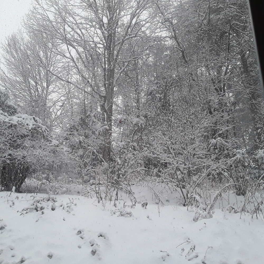 Meet your Posher, Pamela